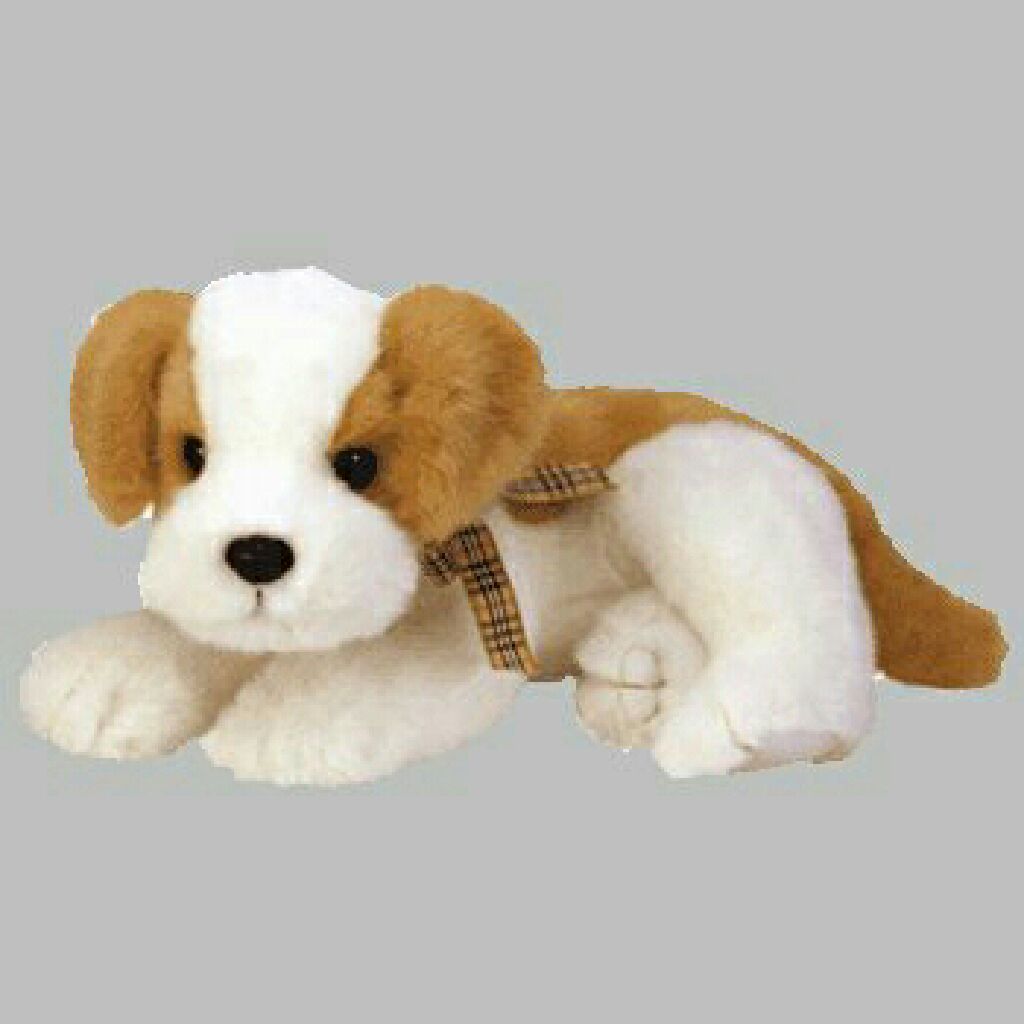 Zoom the turtle (large)