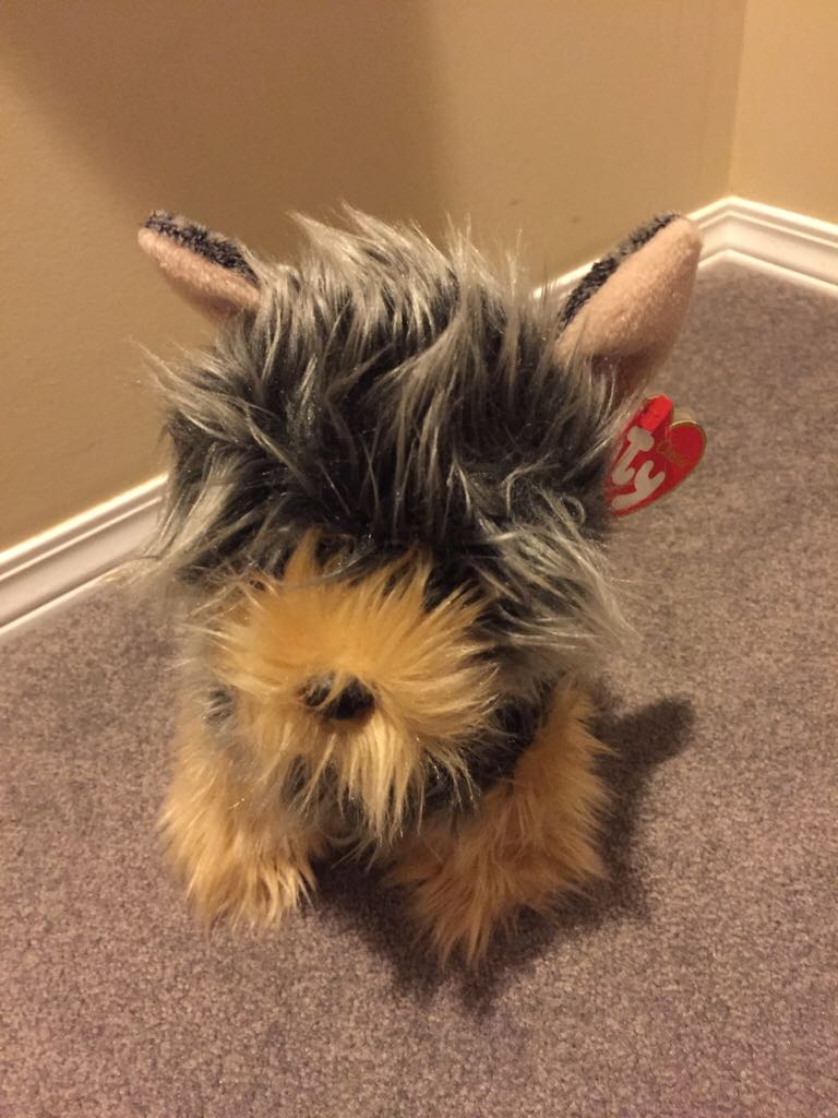 Daisy the Yorkie  plush collectible [Barcode 008421200542] - Main Image 2