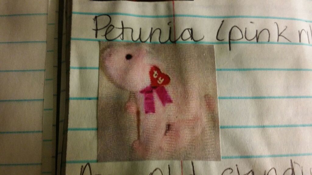 Blizz the White Tiger (1 Sm)