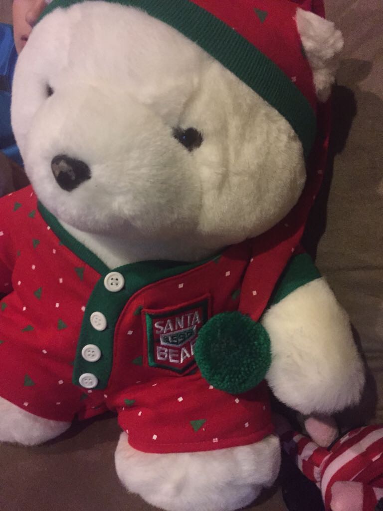 Jonesy The Police Bear