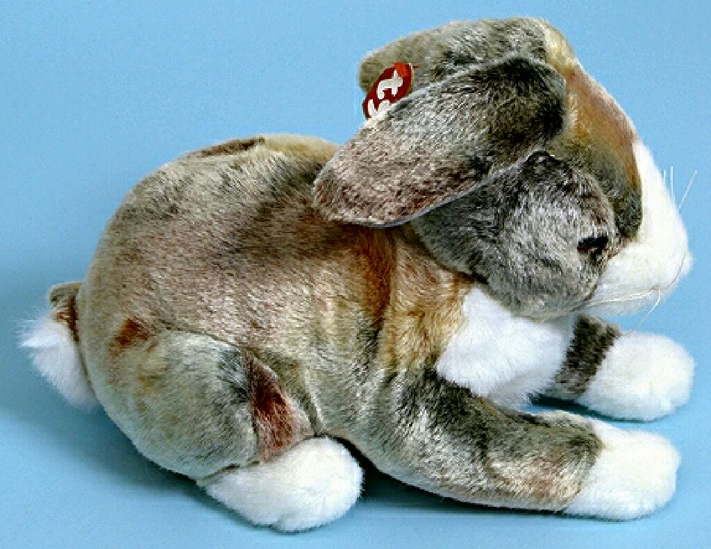 Jackpot the Money Bear