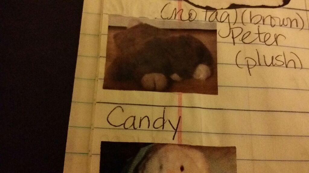 Whopper the Elephant