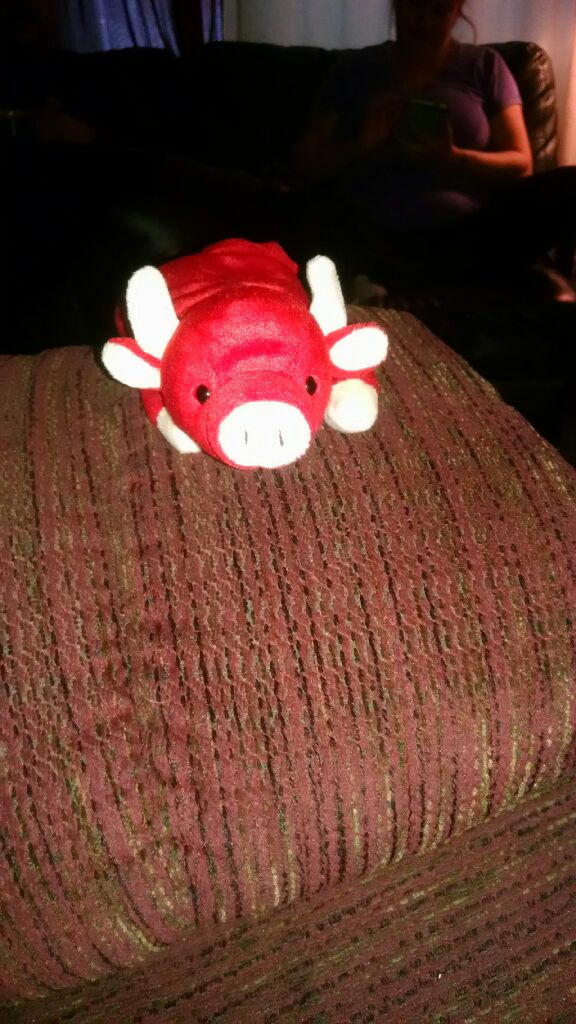 06 Genmania The Bear - International Bears II