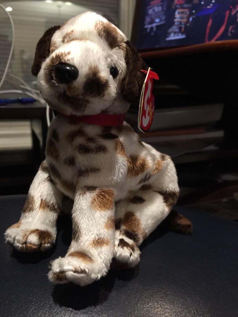 Paris The Bear Beanie Boo