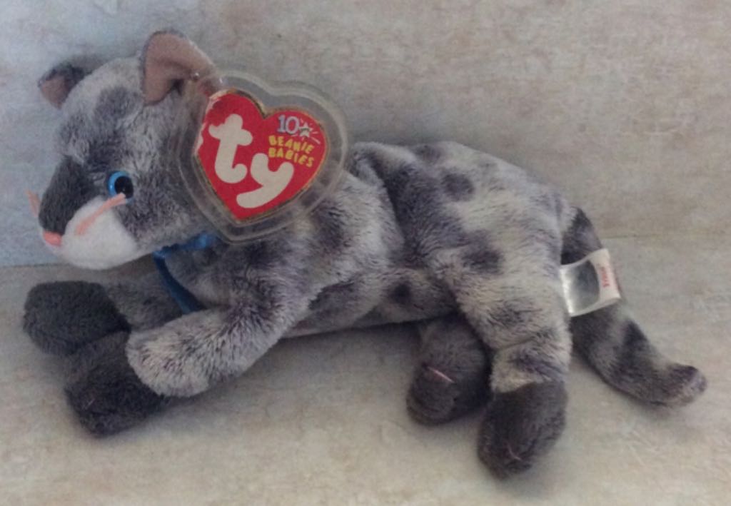 Wrinkles The Dog (2) 