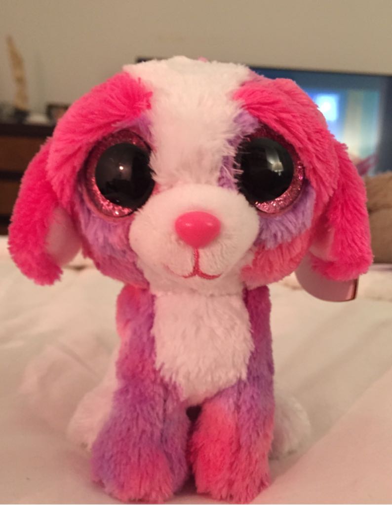 ZZ- TY Classic Moonbeam