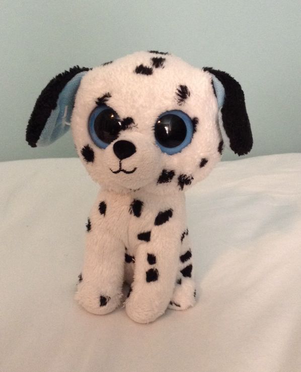 Rainbow Dash the pegasus (kc)