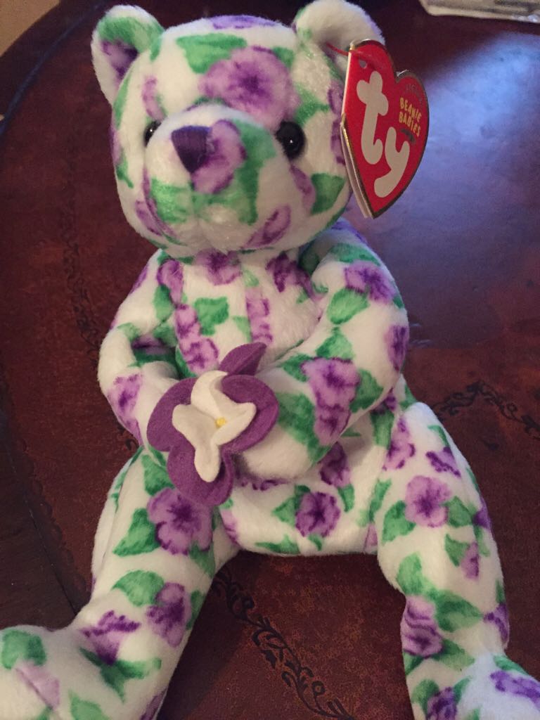 Scholars the Bear 2008