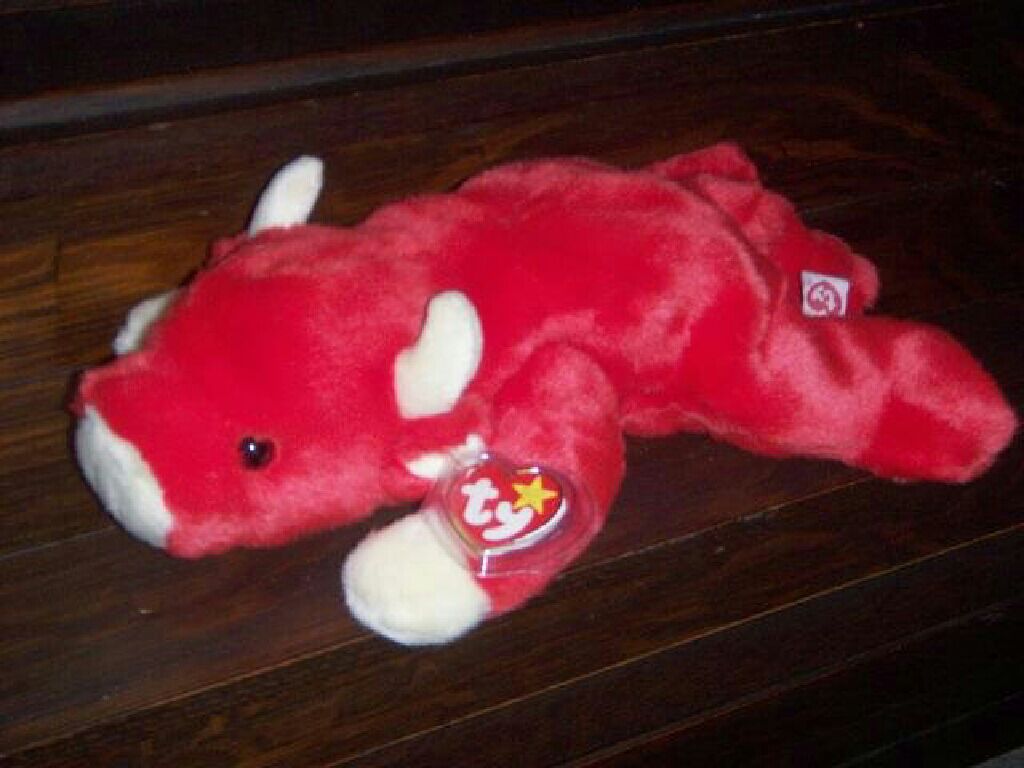 (Florida) Quarter State Bears