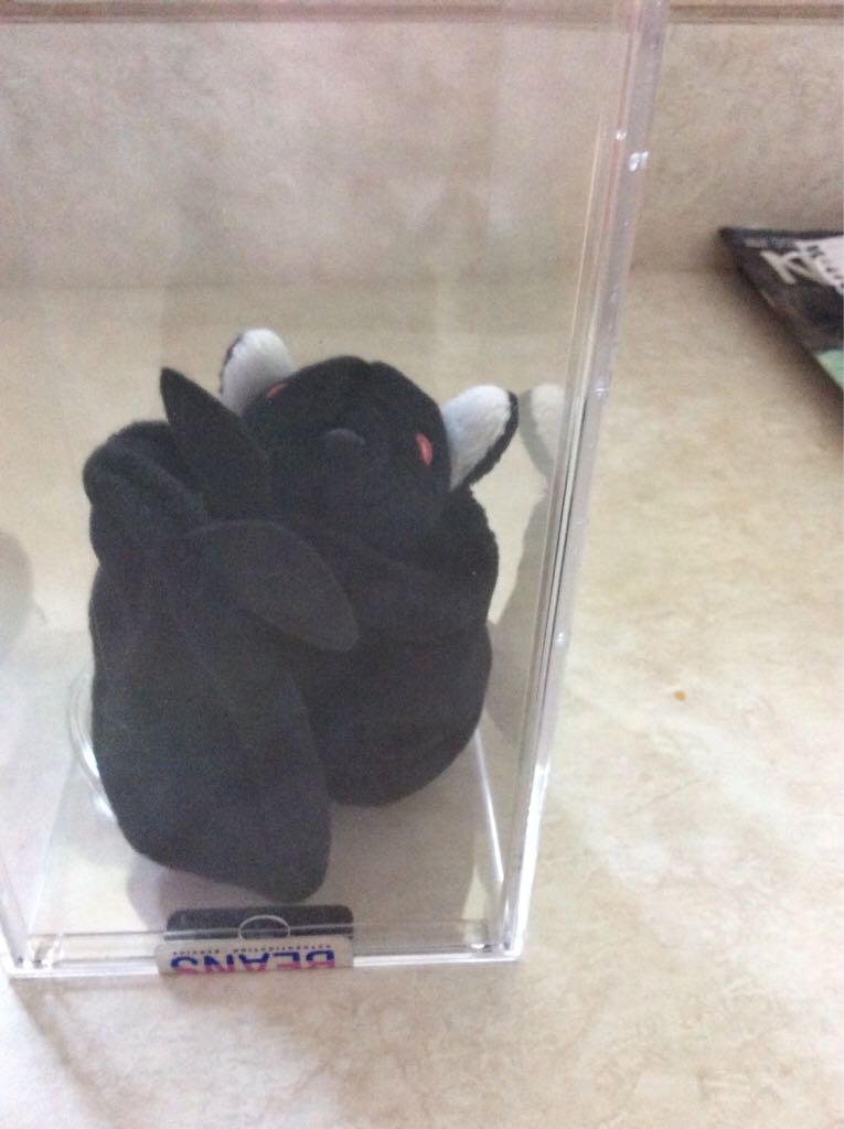 Jackpot the Money Bear