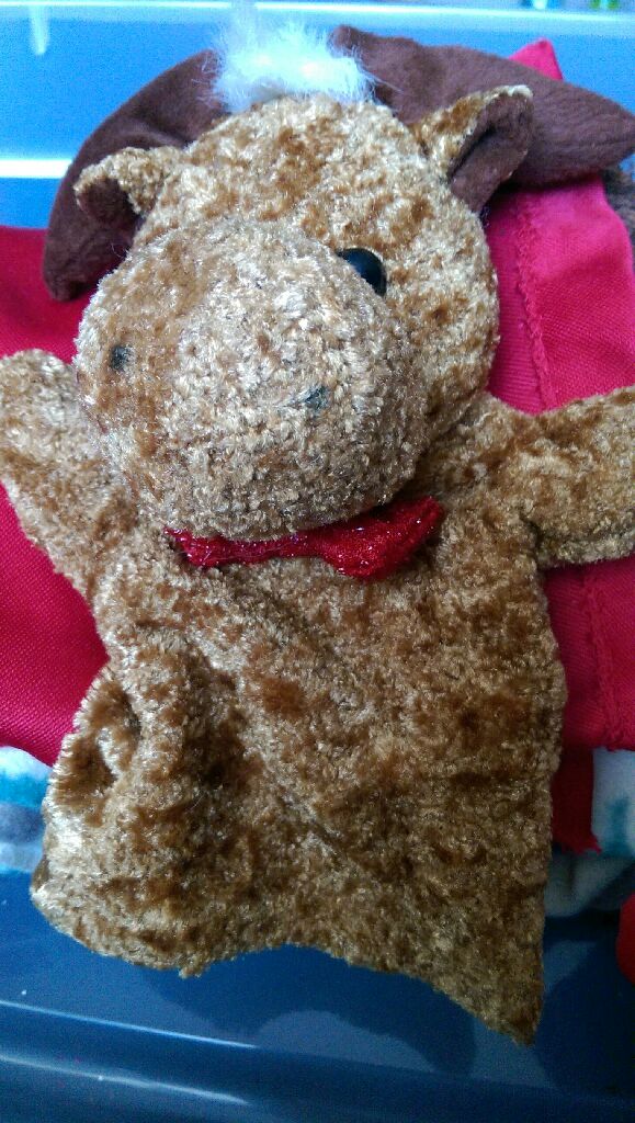 Tumbles the cat (kc)