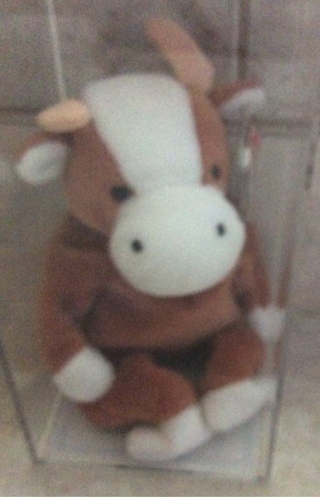 Mickey Moise Fantasia