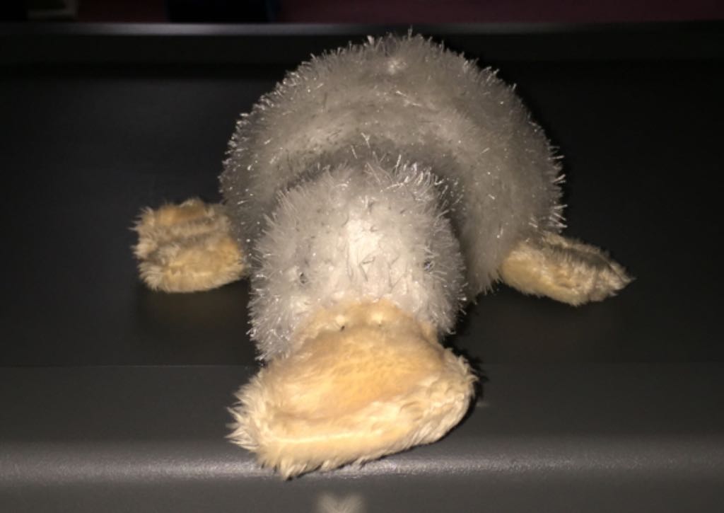 Eleanor the Bear Plush