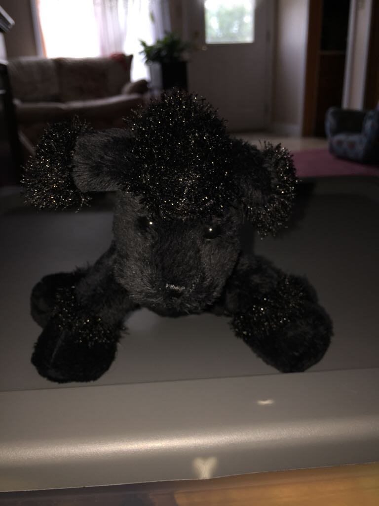 Frankenstein’s Monster