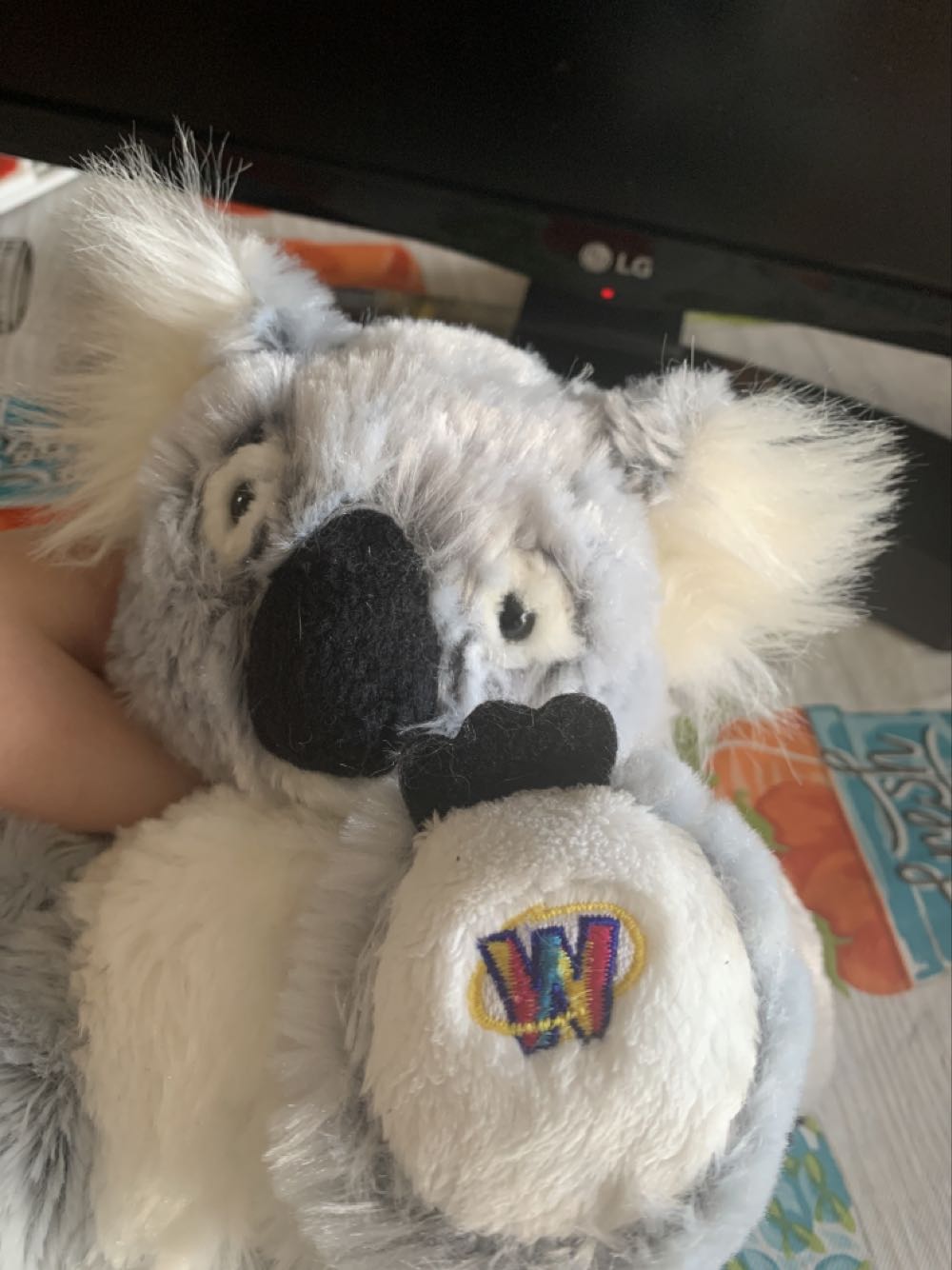Webkinz Koala  plush collectible - Main Image 2