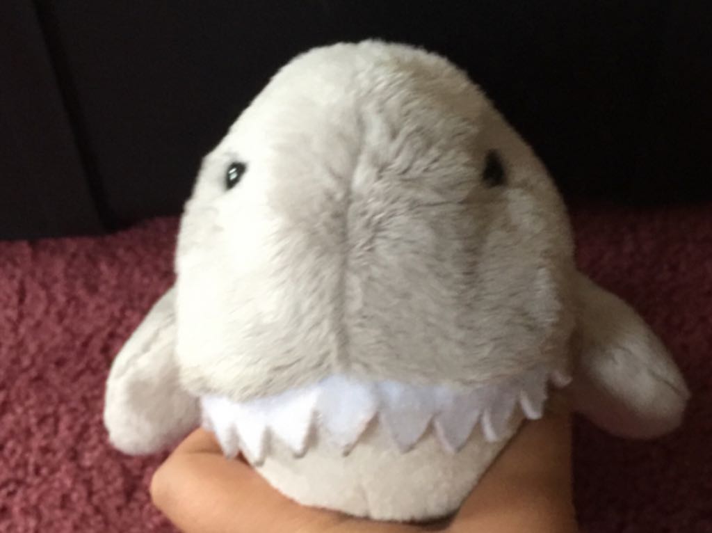 2009 McDonald’s Maiden