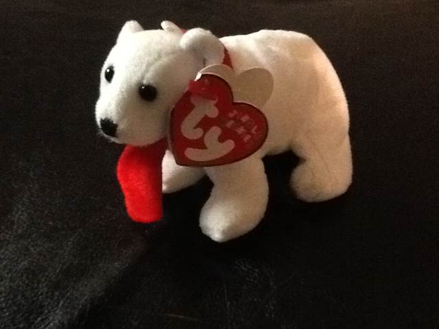 California Poppy The Bear