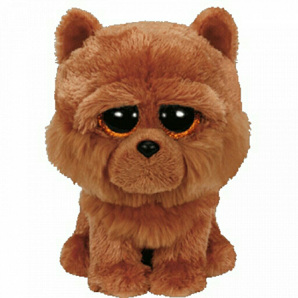 07 Twigs the Giraffe