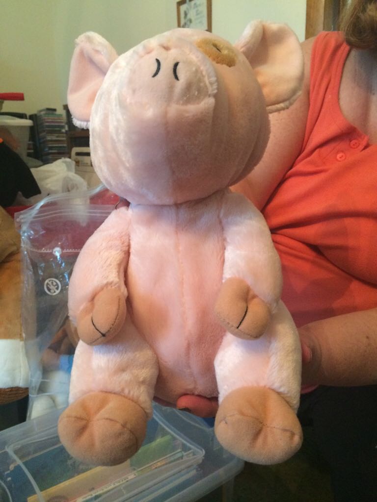 Moonbeam the Bear Plush