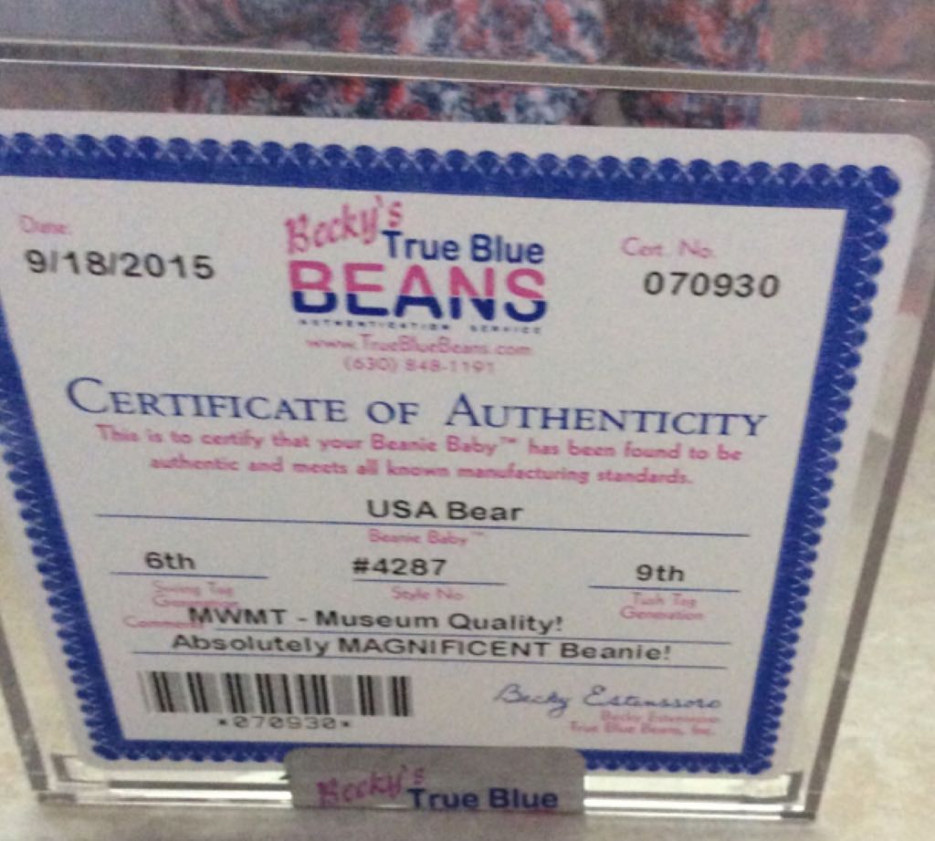 USA Bear  plush collectible - Main Image 2