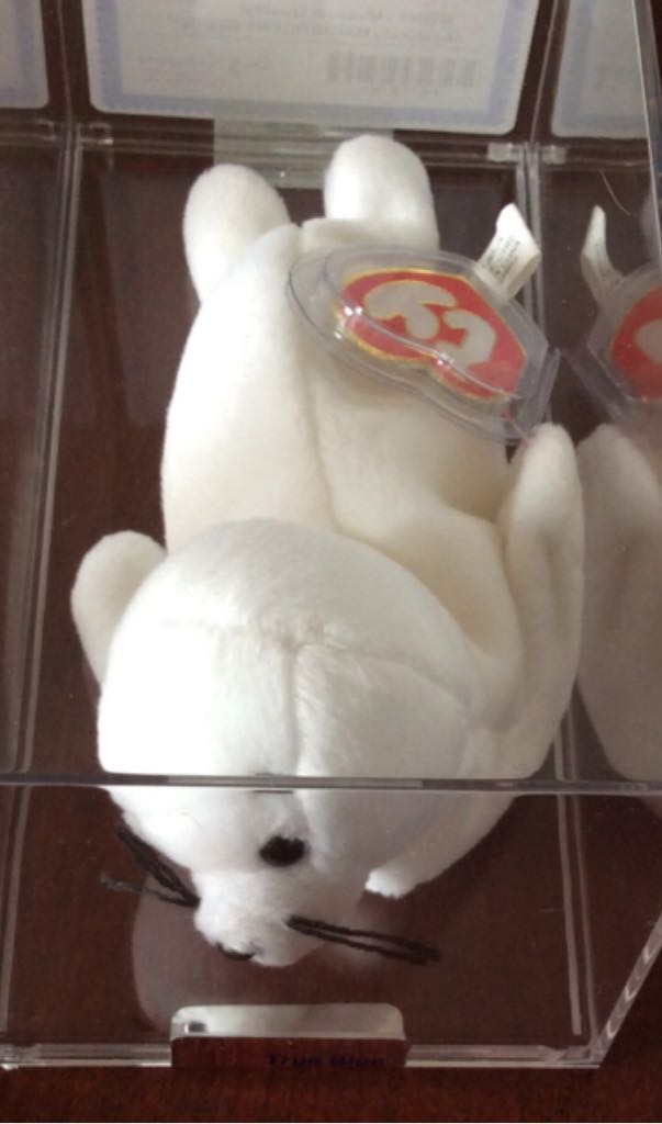 Large Curly the Bear (flag sweater) Plush