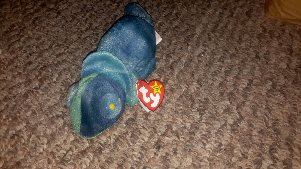 Marion The Bear (error) 2