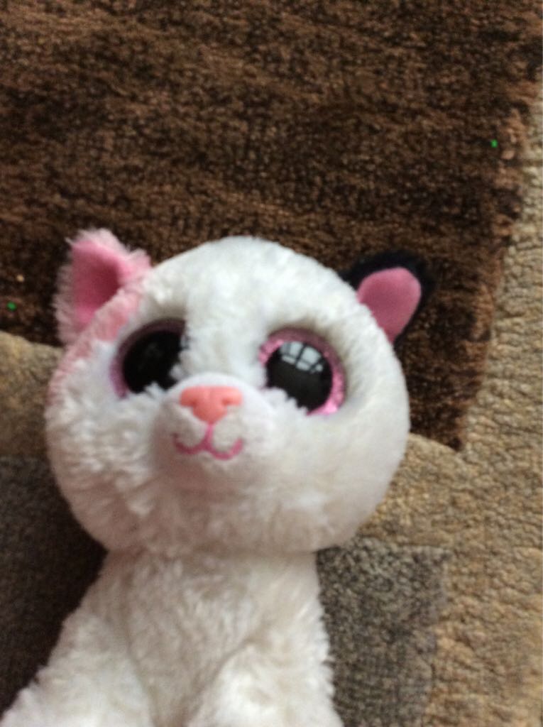 Clubby V Anniversary The Bear