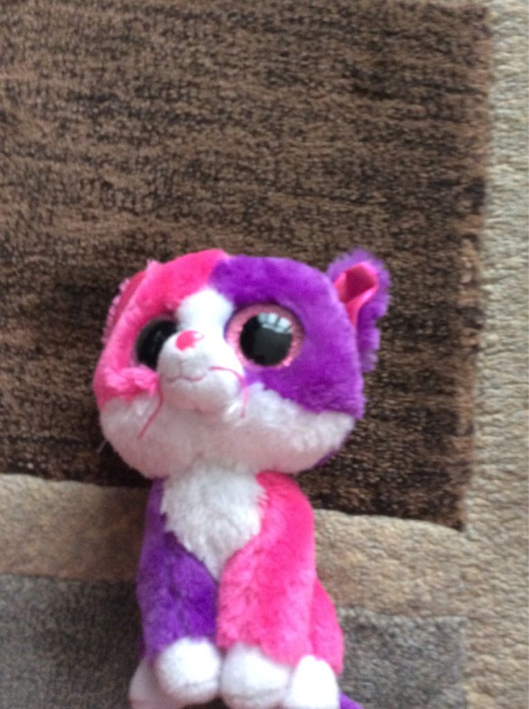 Mississippi The Bear - I ❤️