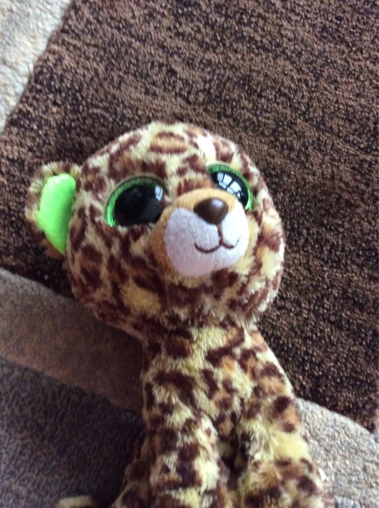 Cheshire Cat (Large)