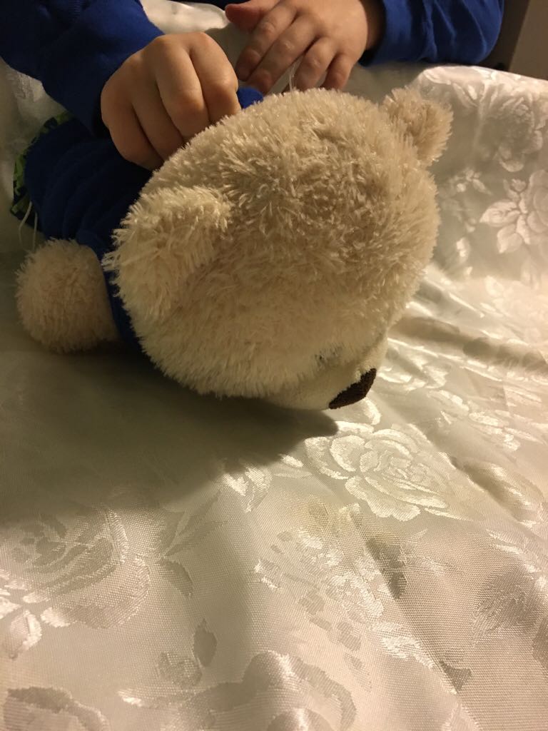 Polar Bear  plush collectible - Main Image 2