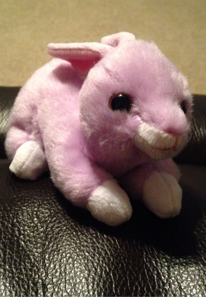 11 The End The Bear - The End