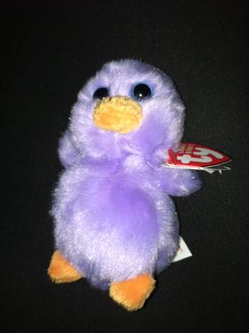 Zapp The Bear - Punkies