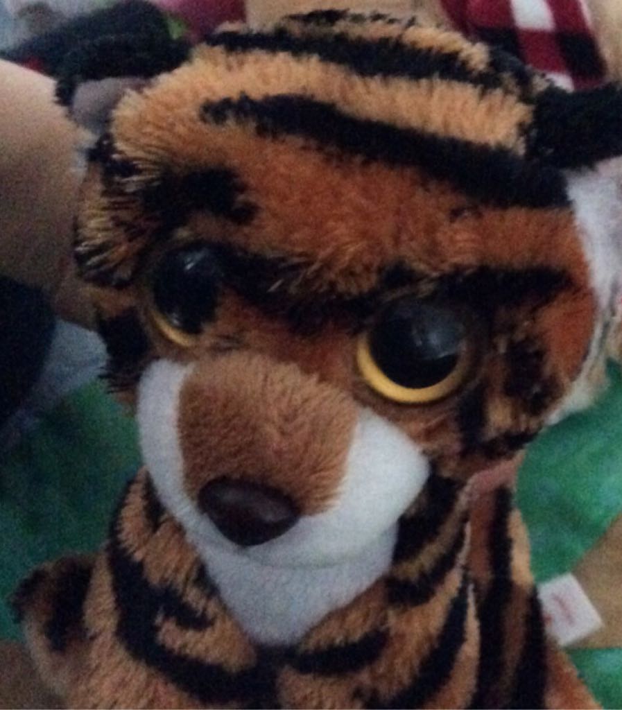 ZZ- Girl Scouts Cookie Award Kangaroo