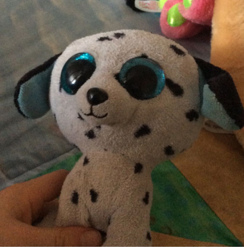 Spotty the Leopard Bear