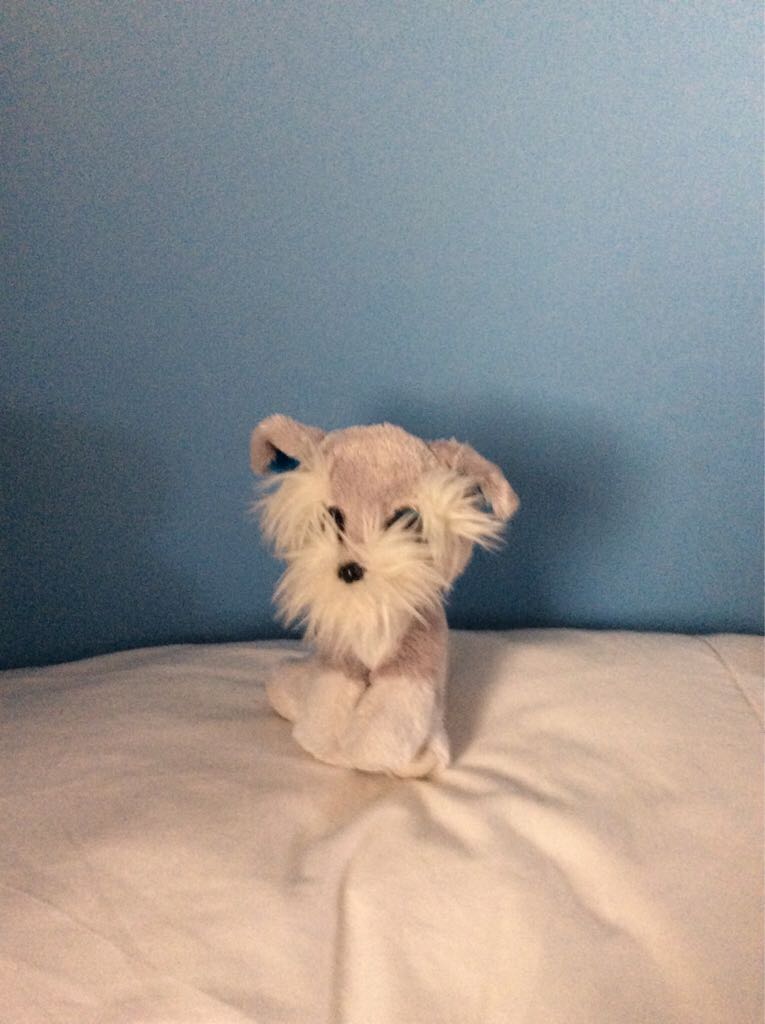 Bones The Skeleton (Classic) 4