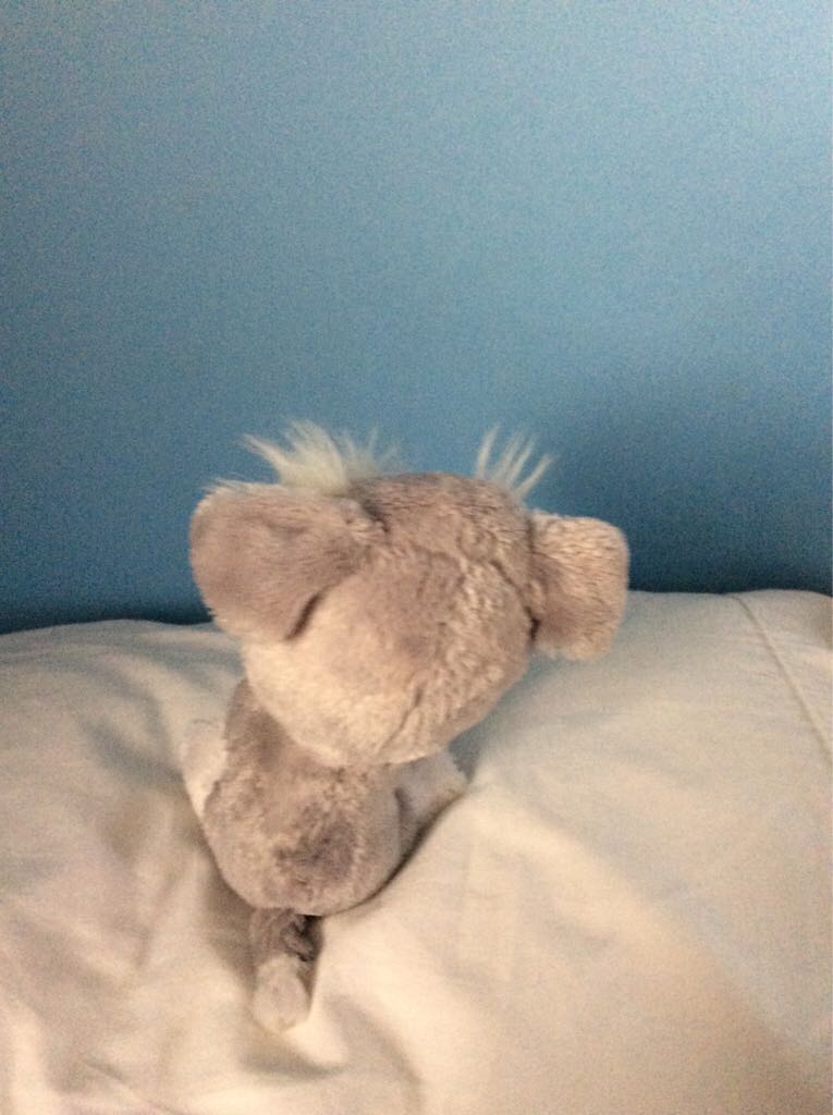 Whiskers  plush collectible - Main Image 2