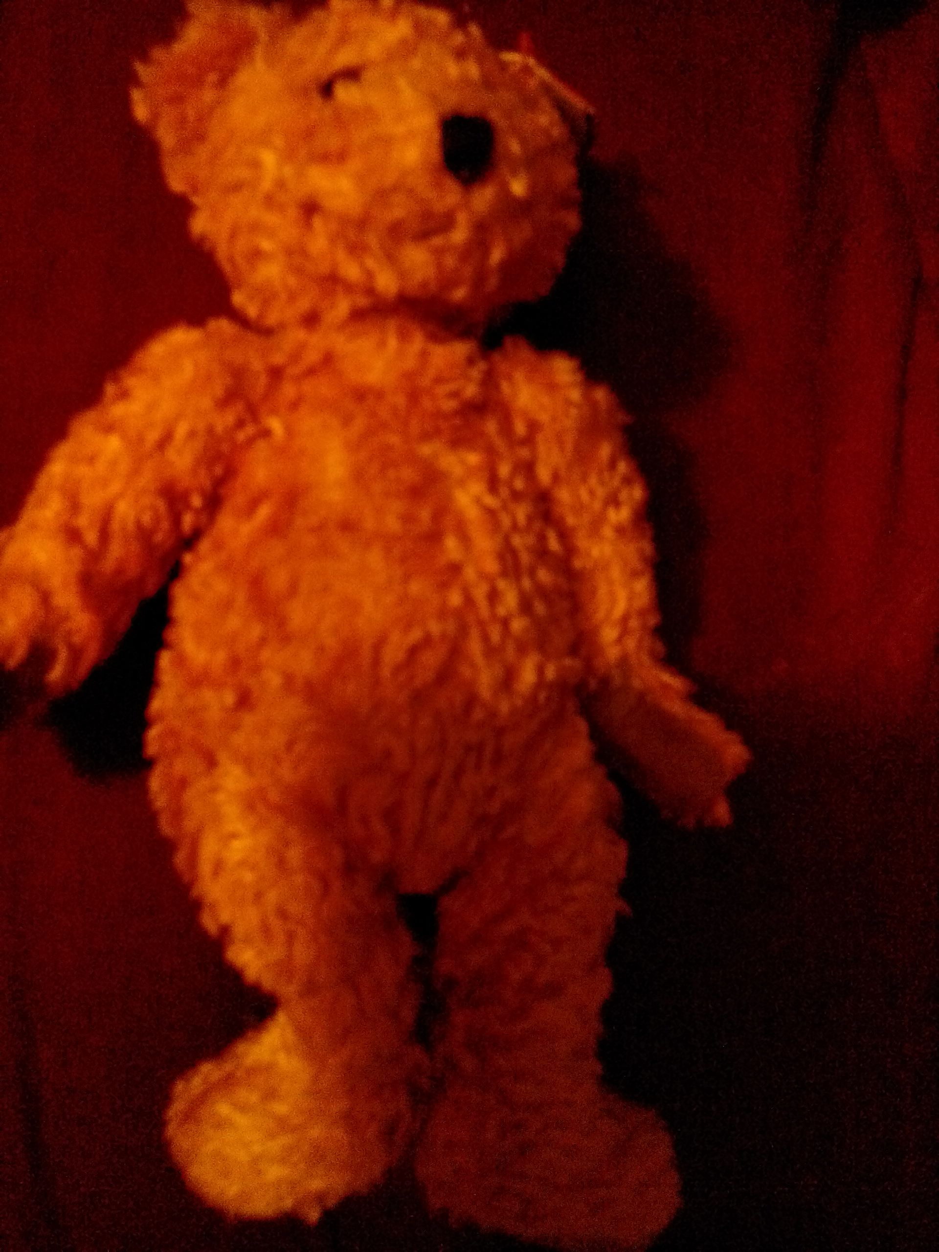 TEDDY the Bear plush collectible - Main Image 1