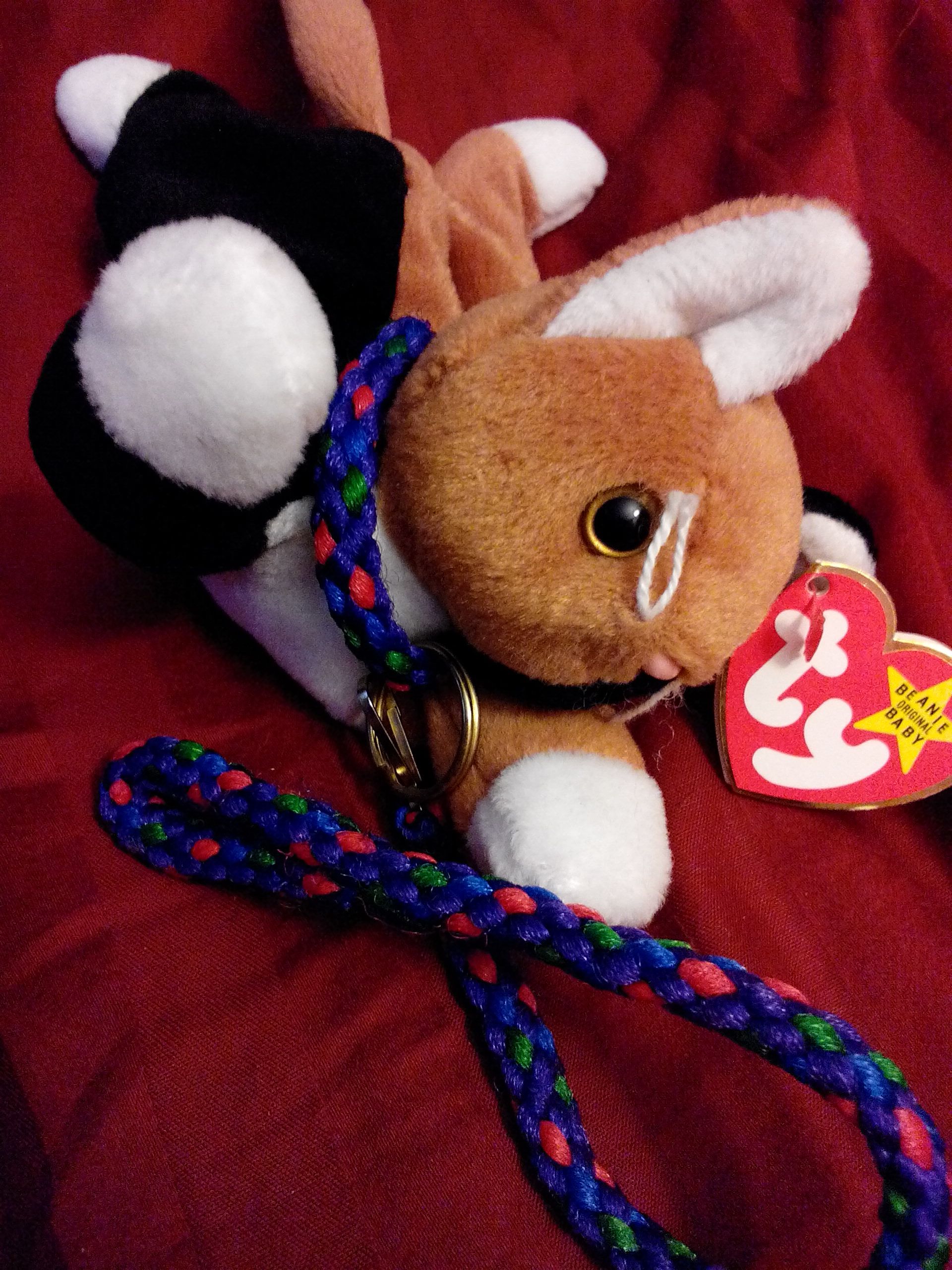 Diva the Poodle (medium)