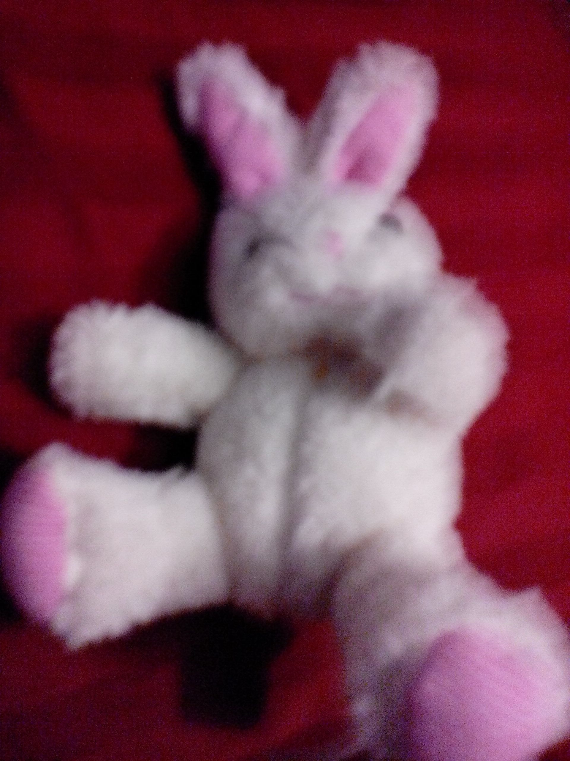 Cat-Gund Friskies Cat