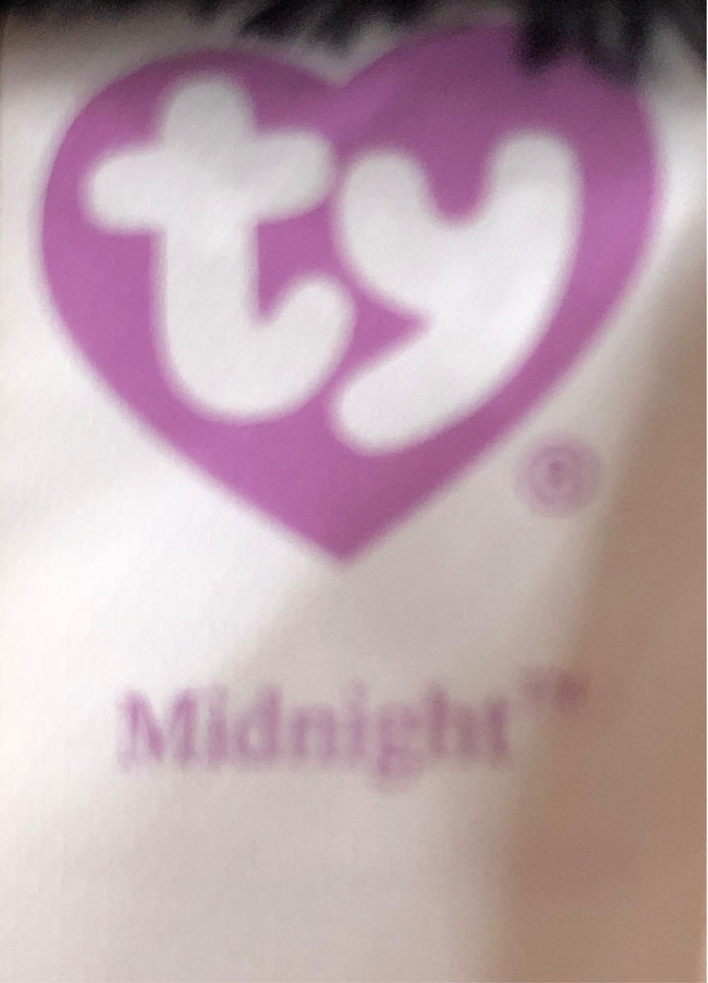 Midnight   plush collectible [Barcode 008421360208] - Main Image 4