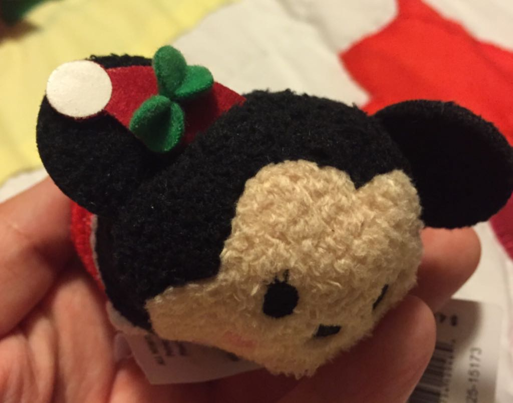 Leaner the School Bear