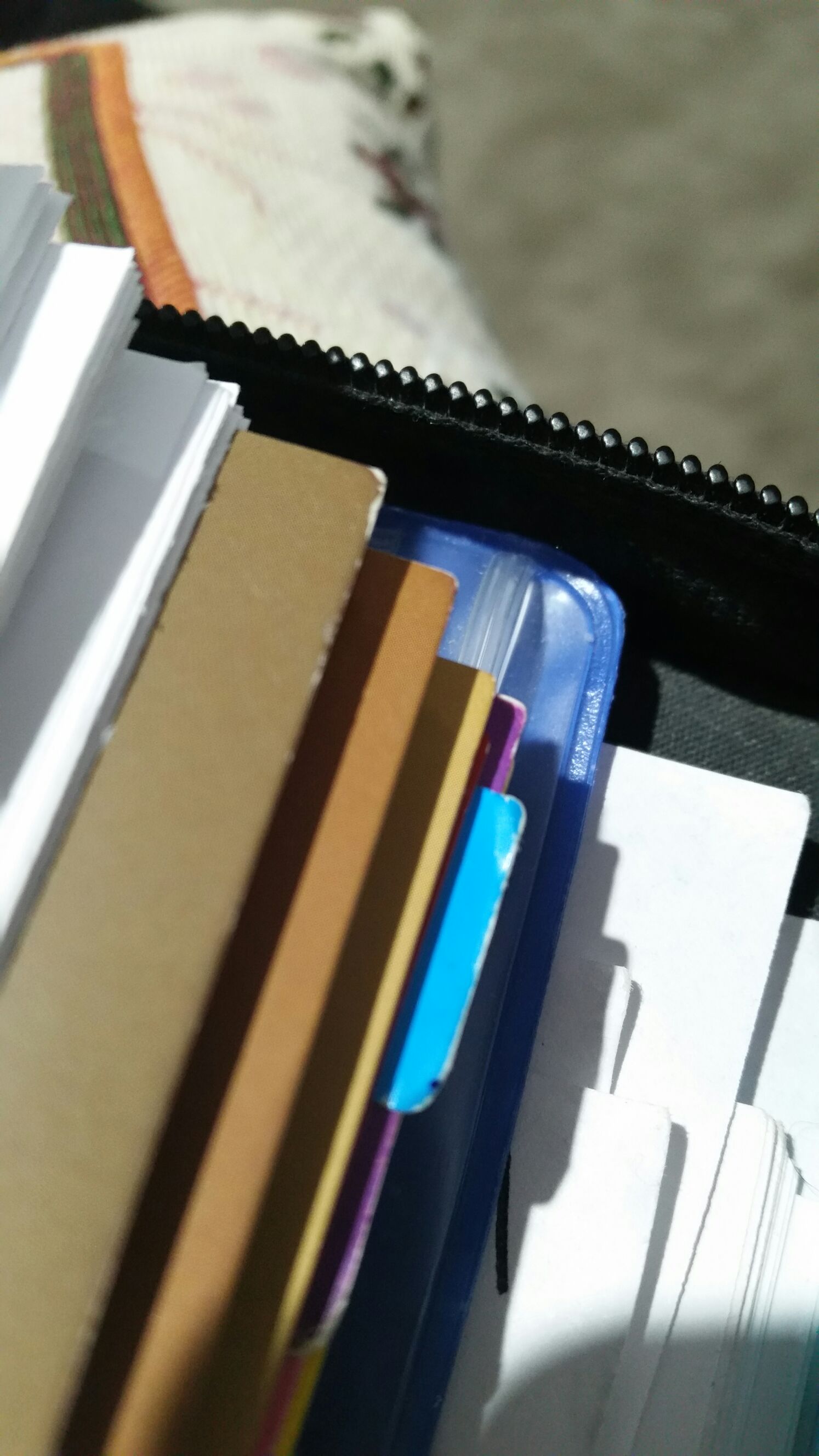 Russell the Gladiator Bear