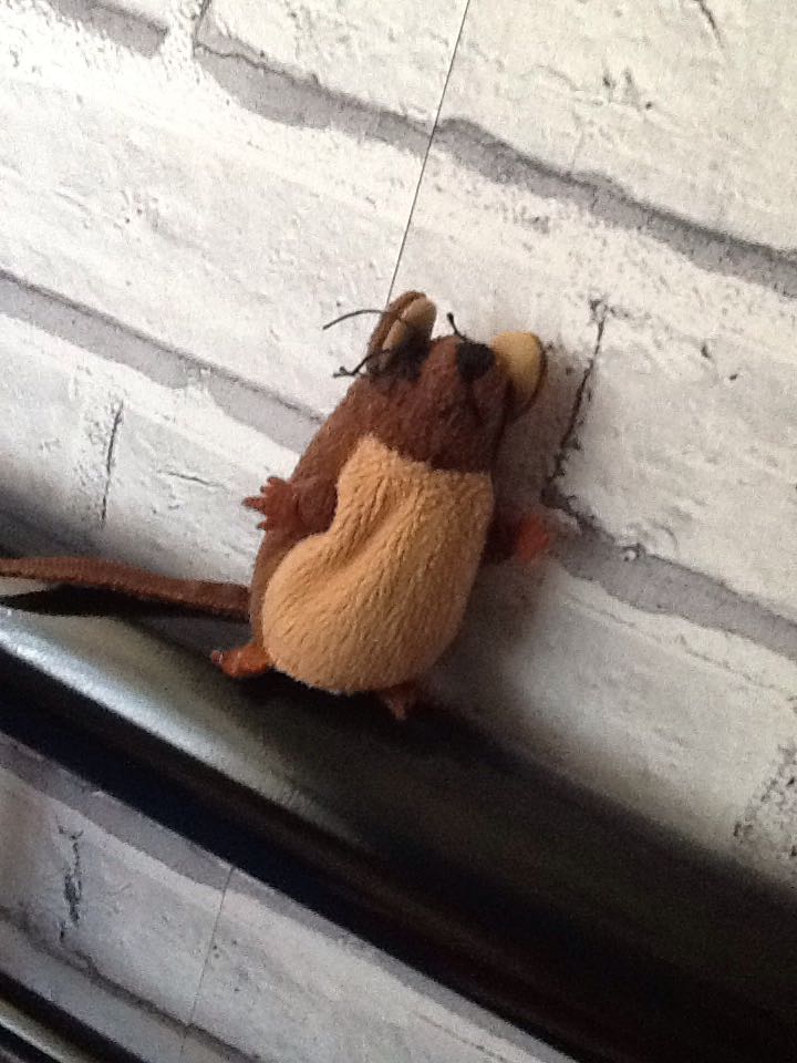 Baby Beanies - Bundles the Mouse