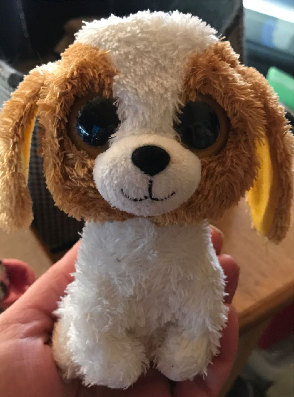 Cookie Dog  plush collectible - Main Image 2