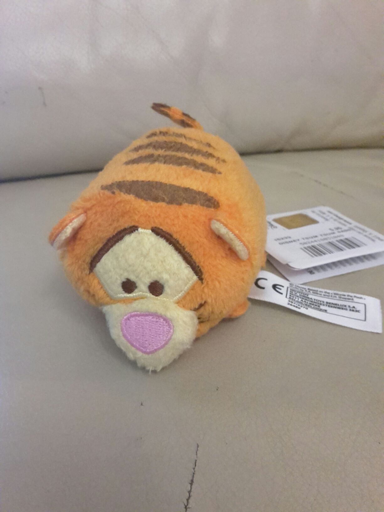 Shanti The Indian Bear 1