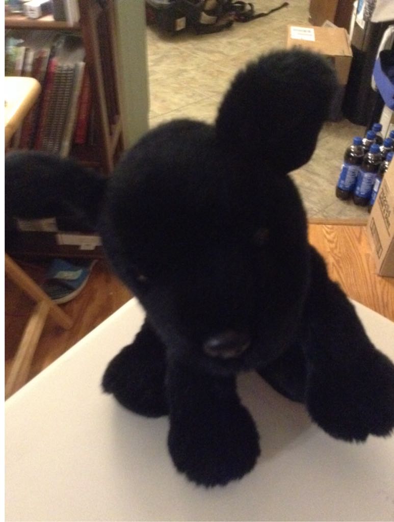 Blossom Multicolor Lamb