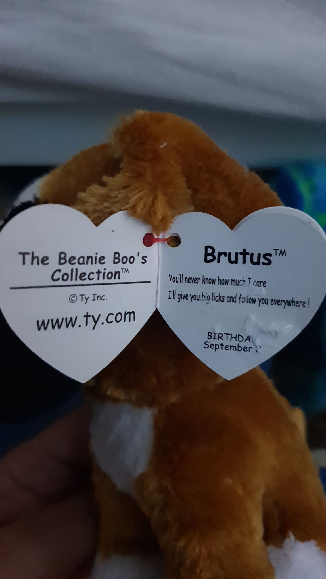 Brutus  plush collectible [Barcode 008421361885] - Main Image 2