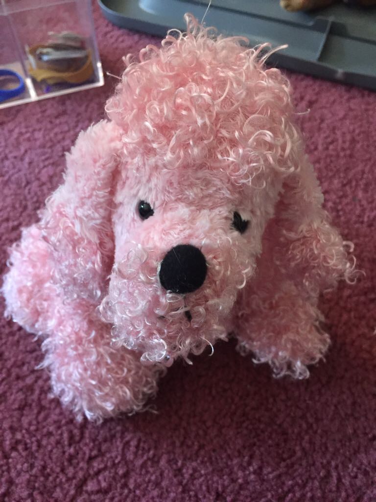 Webkinz Grey Arabian