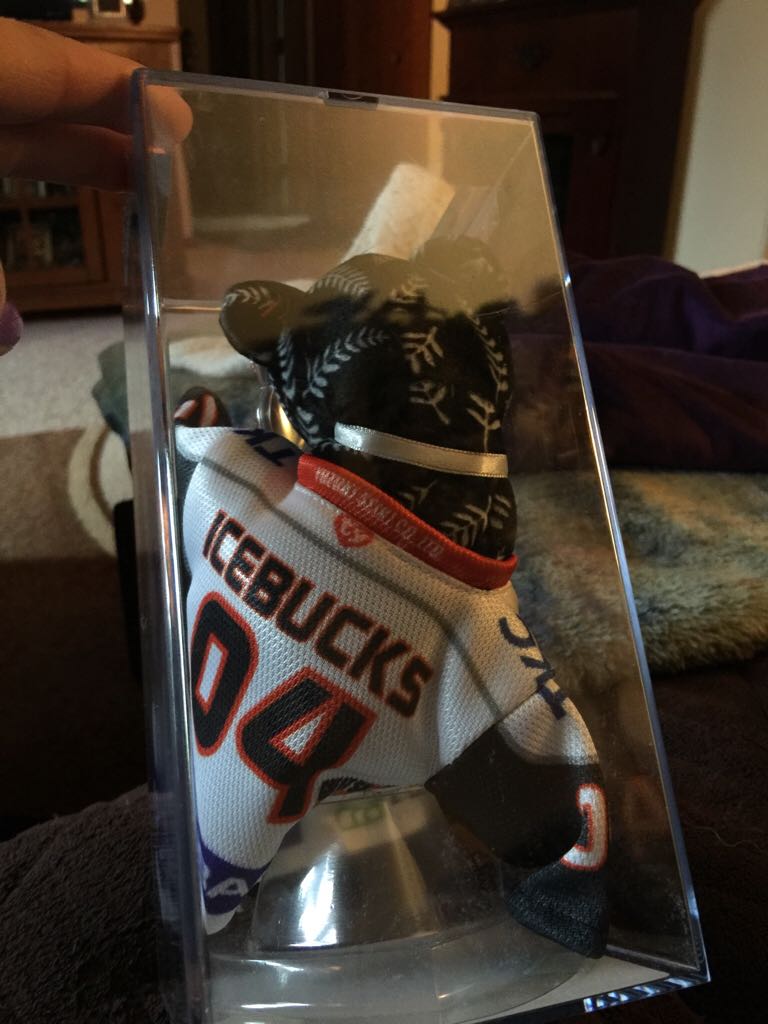 Silver Nikki Icebucks Stadium   plush collectible - Main Image 2