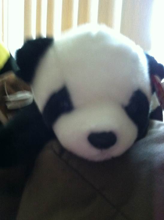 Panda  plush collectible [Barcode 002000002329] - Main Image 1